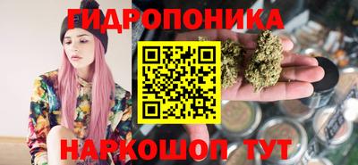 мет Кингисепп