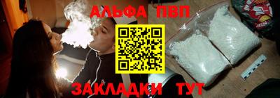 мет Кингисепп