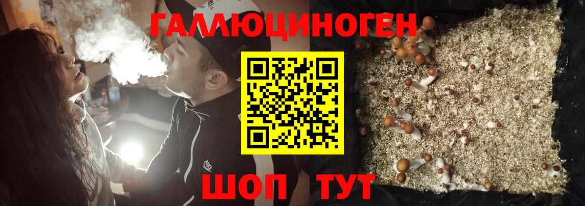 Галлюциногенные грибы мухоморы  Галлюциногенные грибы GOLDEN TEACHER  Нижнеудинск  купить   Вход с VPN 
